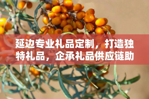 延边专业礼品定制，打造独特礼品，企承礼品供应链助力商务往来